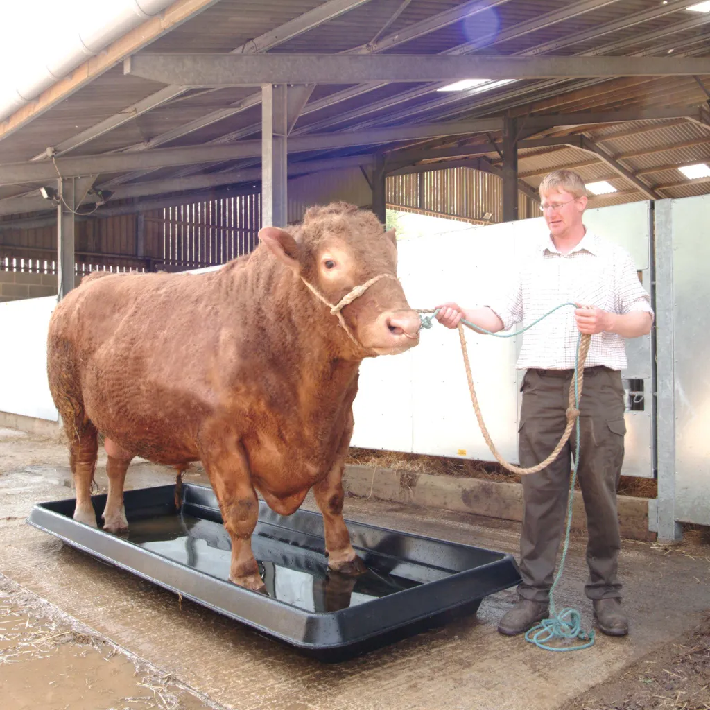 Agricultural Store Near Me Nigel Farr Farm Services Bull