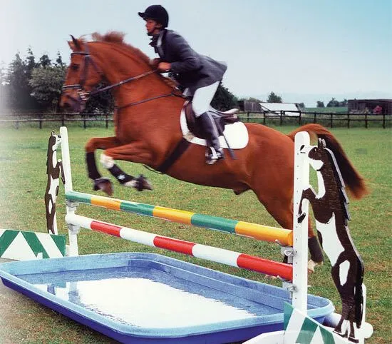 Agricultural Store Near Me Nigel Farr Farm Services Water trough jump