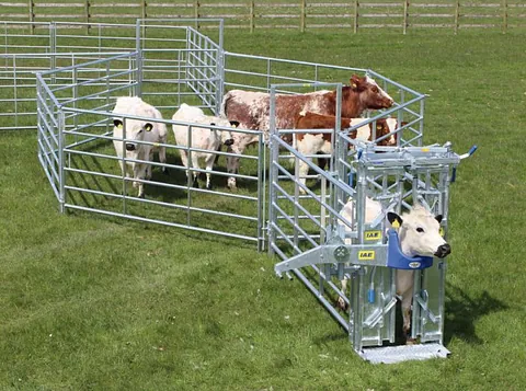 Farm Supplies Near Me Cow Fence