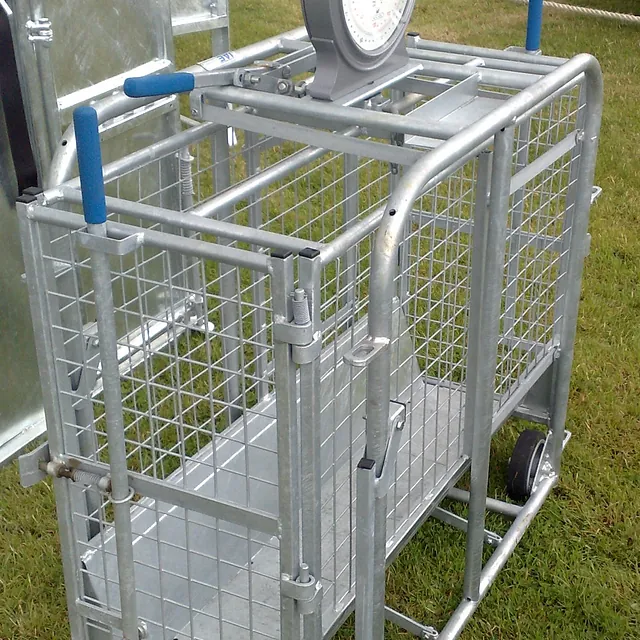 lamb weigher